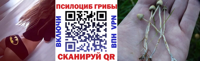 купить наркоту Балашов МЕГА зеркало Галлюциногенные грибы Psilocybe